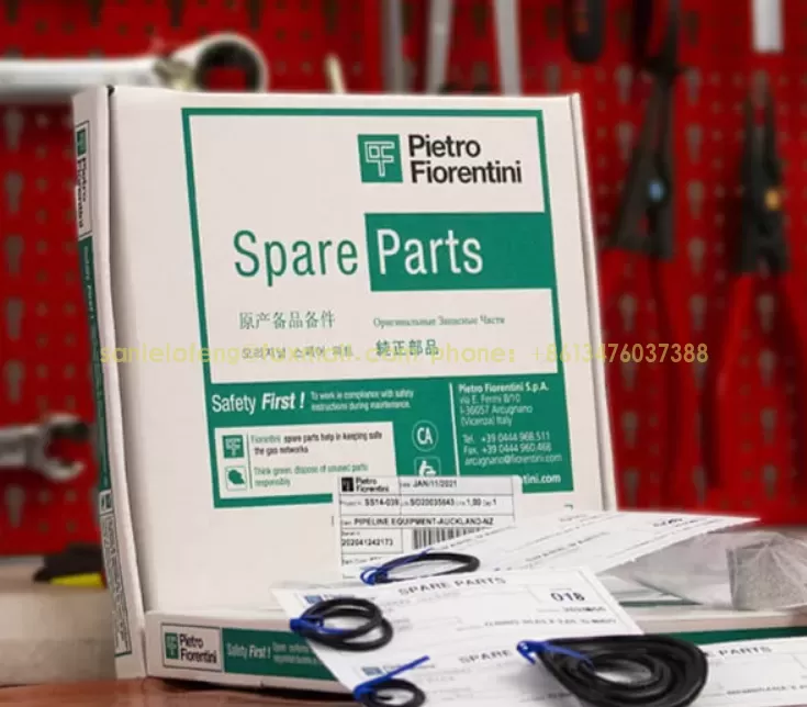 Pietro Fiorentini REFLUX 819/FO + DB/819 DN150 Spare Parts Kit – Part No. 110049